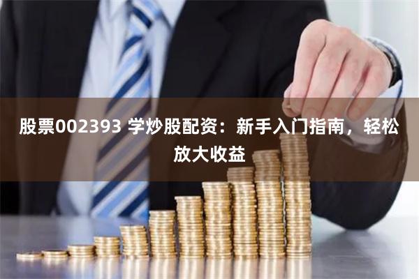 股票002393 学炒股配资：新手入门指南，轻松放大收益