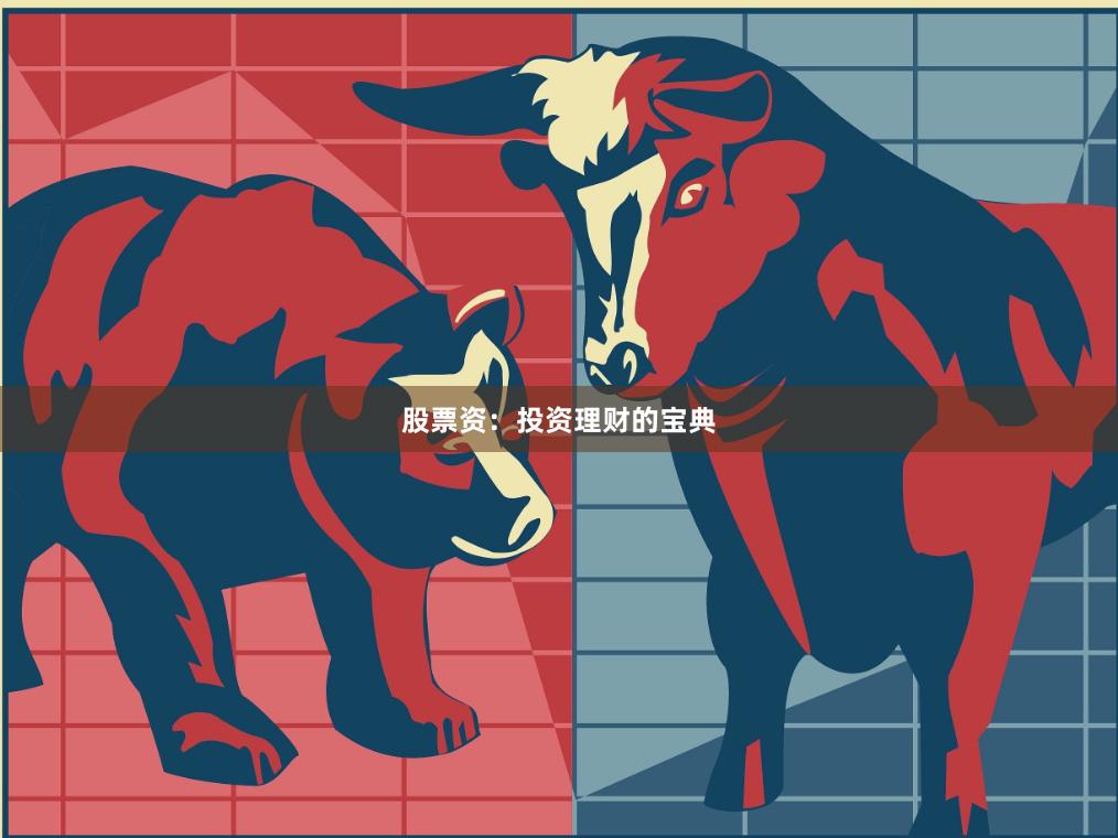 股票资：投资理财的宝典