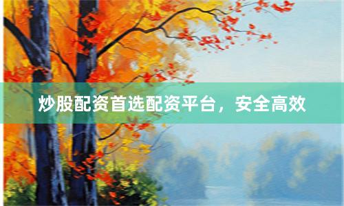 炒股配资首选配资平台,安全高效