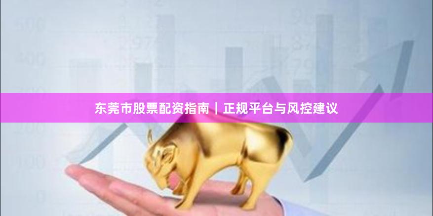 东莞市股票配资指南｜正规平台与风控建议