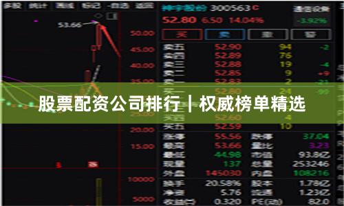 股票配资公司排行｜权威榜单精选